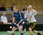 Djurgården - AIK 2008-11-15